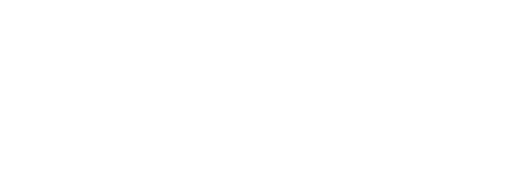 PCC Smart Flat VR Logo